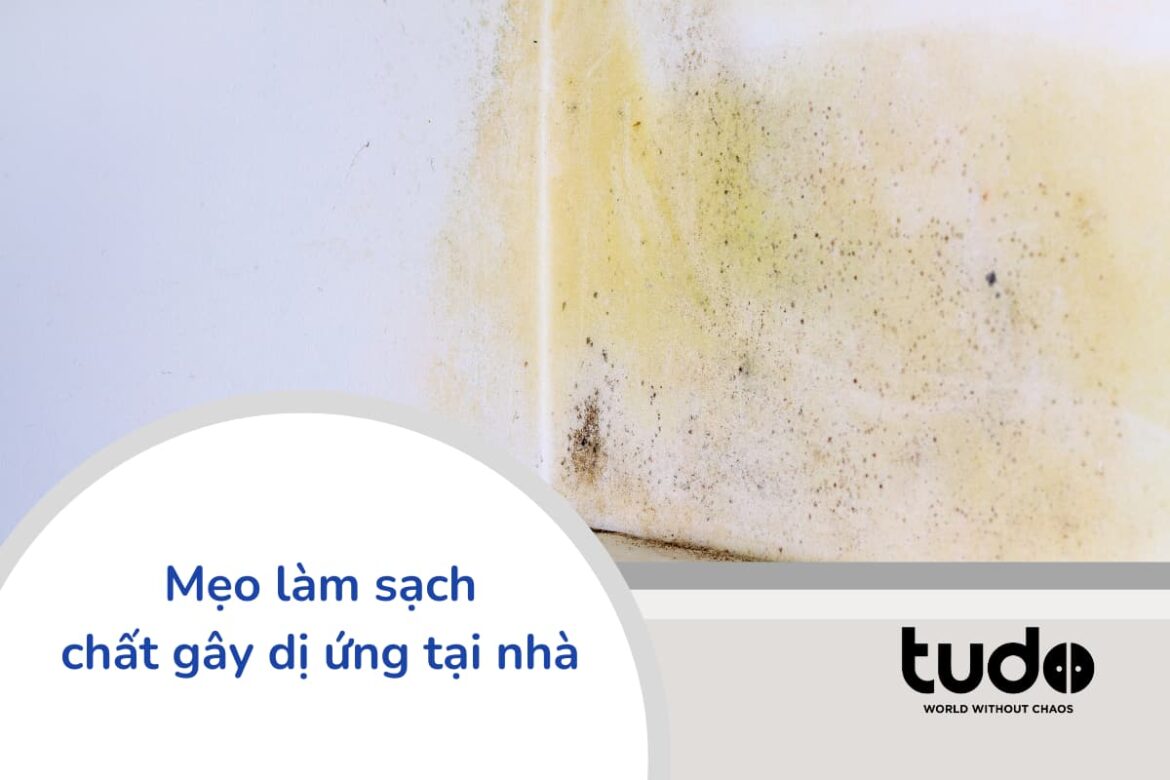 Mẹo làm sạch chất gây dị ứng tại nhà