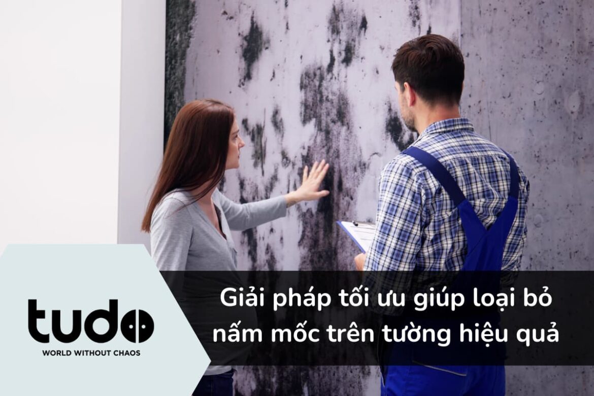 Giải pháp tối ưu giúp loại bỏ nấm mốc trên tường hiệu quả